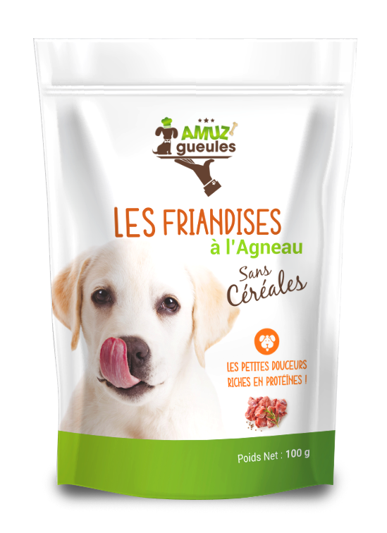 croquettes et friandises pour chiens amuzgueules